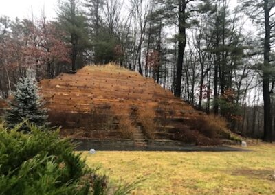 Terraced hillside garden with wooden retaining walls and steps surrounded by trees and grass in a natural outdoor setting.